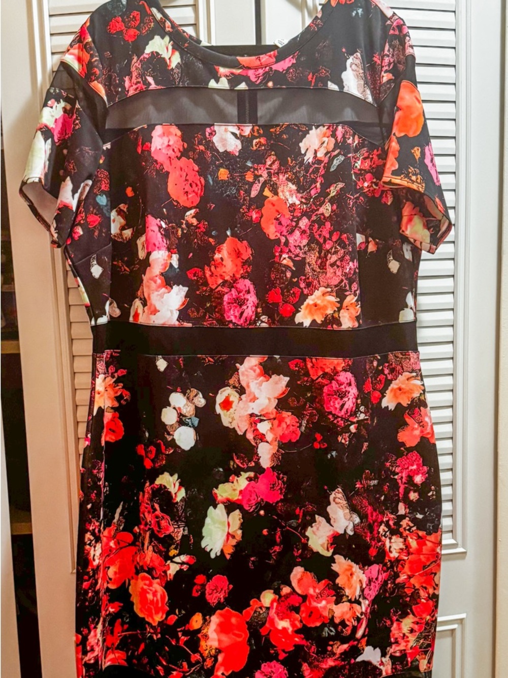 Floral Mesh-Panel Shift Dress - Black with Red & Pink Floral